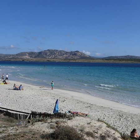 Resort Con Piscina A Soli 250 Mt Dalla Spiaggia La Pelosa สตินติโน ภายนอก รูปภาพ