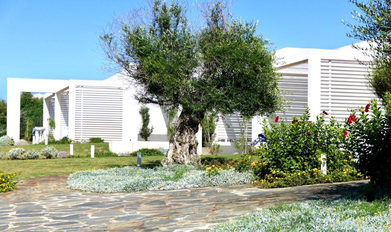 Resort Con Piscina A Soli 250 Mt Dalla Spiaggia La Pelosa สตินติโน ภายนอก รูปภาพ